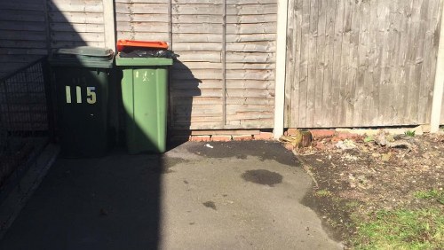 Two large general waste bins, one green and one black, are positioned on a paved driveway next to a wooden fence and a tall wooden gate. The green bin has the number 115 and a red lid on top. The bins are placed in the shadow cast by the fence, with a small wet patch visible on the asphalt surface nearby. Surrounding the bins, the ground transitions from the paved area to a small patch of soil and grass with some scattered small plants. The backdrop includes a weathered wooden fence with vertical slats and a taller gate made from similar weathered wood, indicating an outdoor setting typical of residential or commercial premises in West Ham, east London. The scene presents a tidy, functional arrangement aligned with rubbish collection and waste management services provided by companies such as Commercial Waste Removal West Ham.